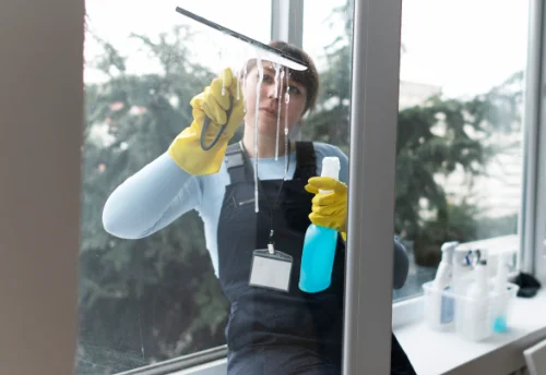 Nettoyage de vitres intérieures et extérieures à Larnod